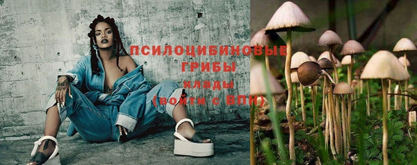 МДПВ Волоколамск