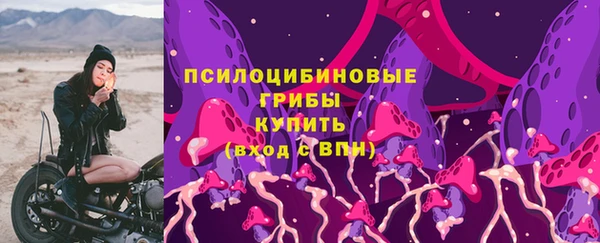 амф Весьегонск