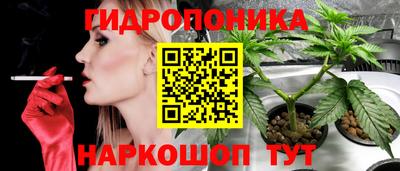 прущие грибы Гатчина
