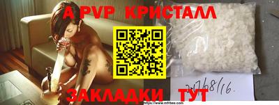 прущие грибы Гатчина
