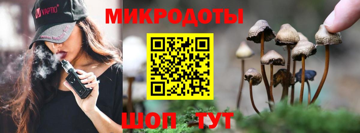 Клин  Псилоцибиновые грибы мухоморы  Псилоцибиновые грибы Psilocybine cubensis  Вход с VPN 